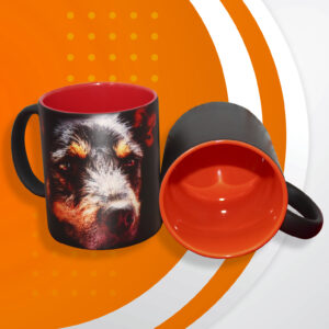 Mugs Mágico Bicolor